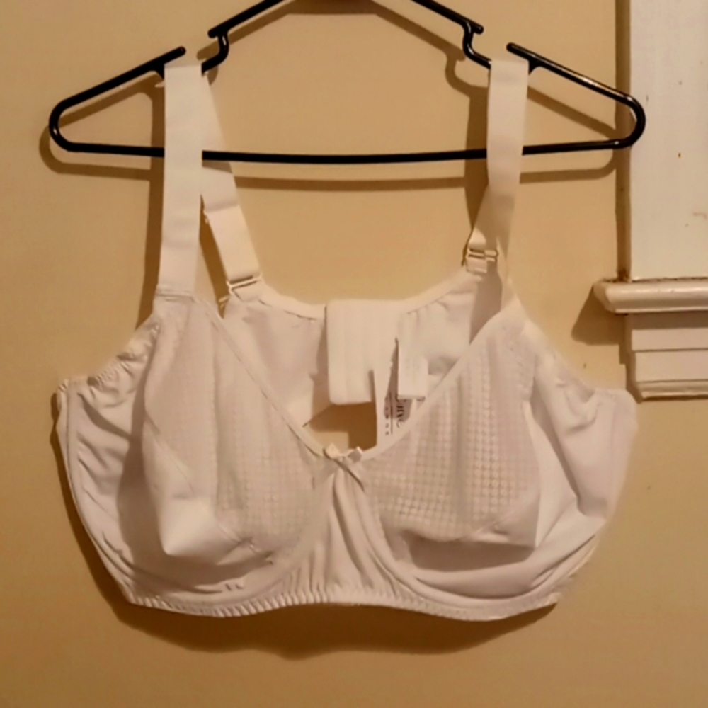 Curvy Bra